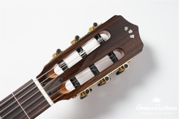 STAGE GUITAR LIMITED - BLUE BURST