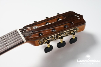 STAGE GUITAR LIMITED - BLUE BURST