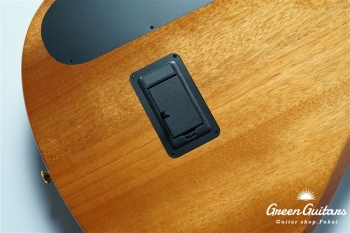 STAGE GUITAR LIMITED - BLUE BURST