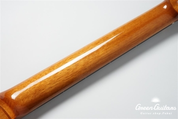 STAGE GUITAR LIMITED - BLUE BURST