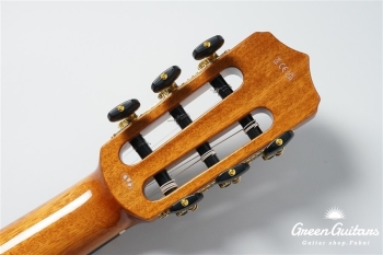 STAGE GUITAR LIMITED - BLUE BURST