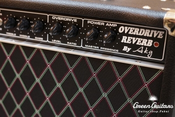  Overdrive Reverb 22W Combo