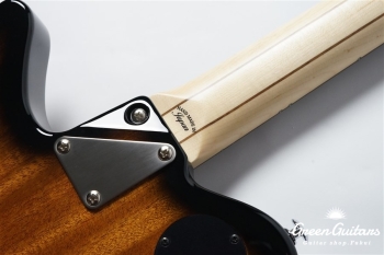 Trailbreaker Special Limited Edition w.Tremolo - Tobacco Burst