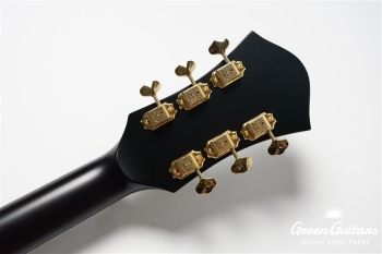 Ladybug-CB BG-CTM Bigsby - Matte Black (Lacquer) #RZ0712