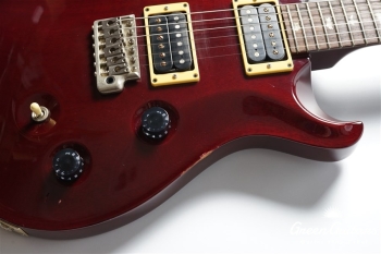 Standard 24 - Raspberry