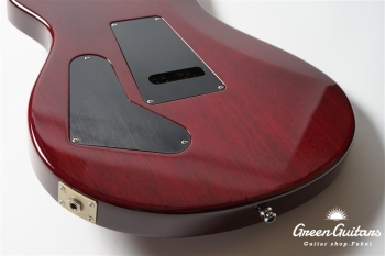 Standard 24 - Raspberry