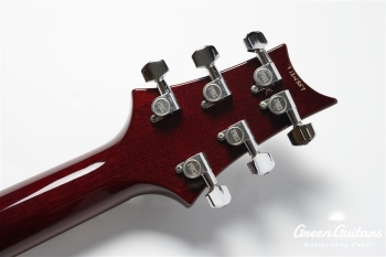 Standard 24 - Raspberry