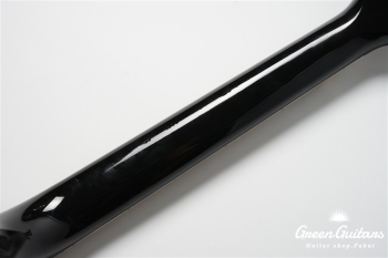 Everly Brothers J-180