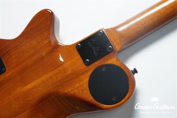 LGX-SA - Trans Amber