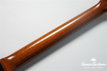 LGX-SA - Trans Amber