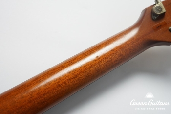 LGX-SA - Trans Amber