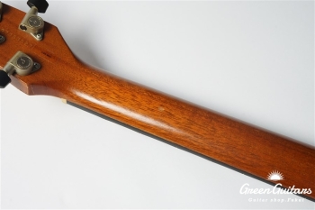 LGX-SA - Trans Amber