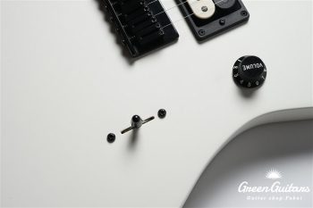 Jim Root Jazzmaster V4