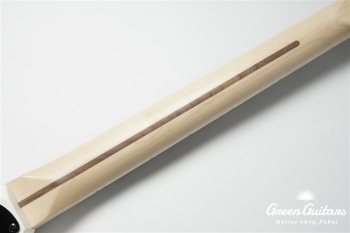 Jim Root Jazzmaster V4