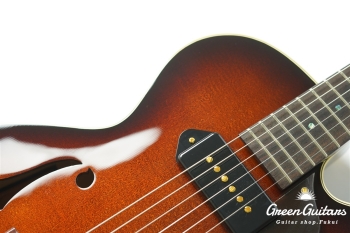 Ladybug SM-C  (P-90) - TSB #RZ0793