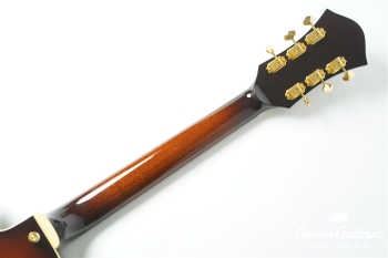 Ladybug SM-C  (P-90) - TSB #RZ0793