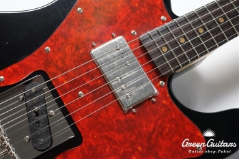 g7-TLC/R-FA L.Aged - Black Beauty