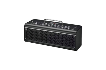 THR30II Wireless TAK MATSUMOTO