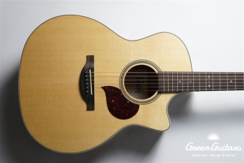 F120-GA Sitka Spruce / African Mahogany