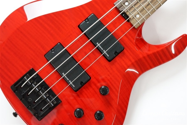 BTL ROSELIA LISA - See Thru Red