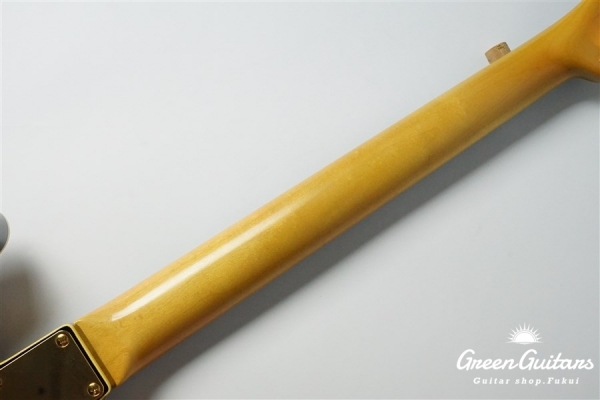 g7-CTL Type1 - Black Beauty