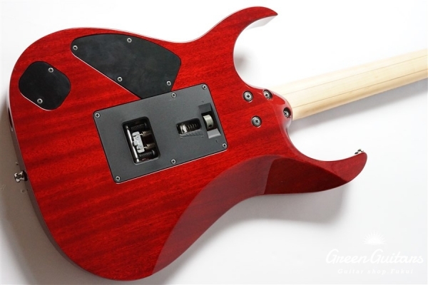 j.custom RG8570Z - RS