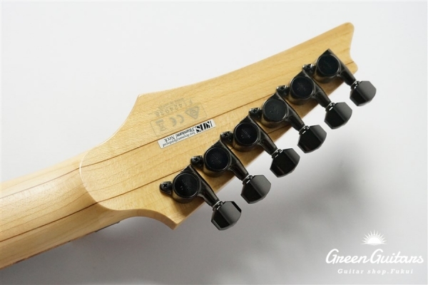 j.custom RG8570Z - RS