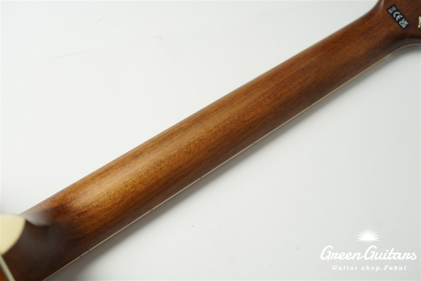 PD-220E DREADNOUGHT - Natural