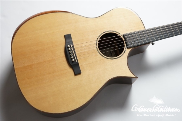 HGAF-5100SE/C - NA