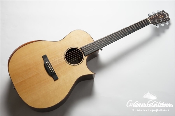 HGAF-5100SE/C - NA