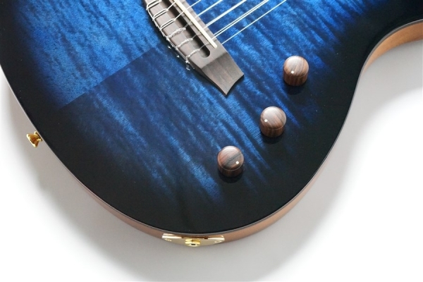 STAGE GUITAR LIMITED - BLUE BURST