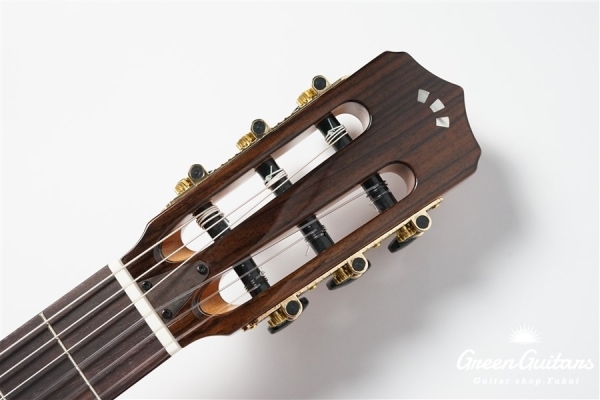 STAGE GUITAR LIMITED - BLUE BURST