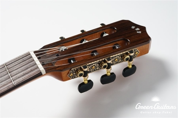 STAGE GUITAR LIMITED - BLUE BURST