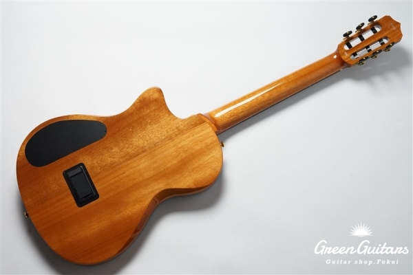 STAGE GUITAR LIMITED - BLUE BURST