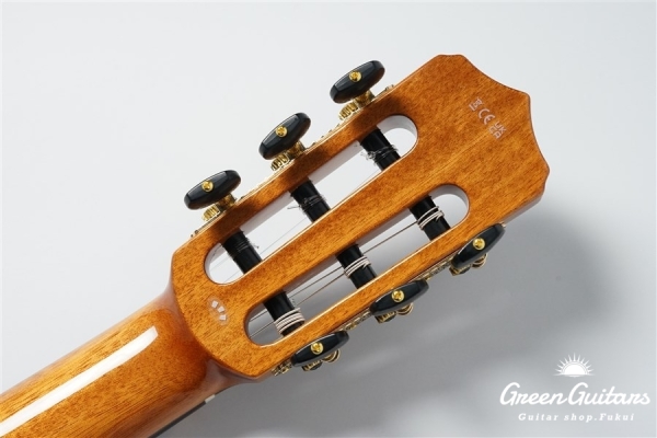 STAGE GUITAR LIMITED - BLUE BURST