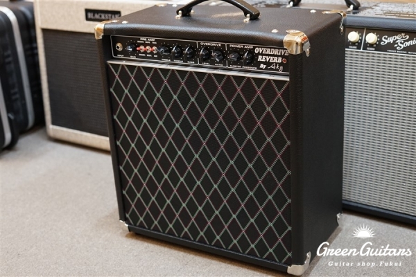  Overdrive Reverb 22W Combo