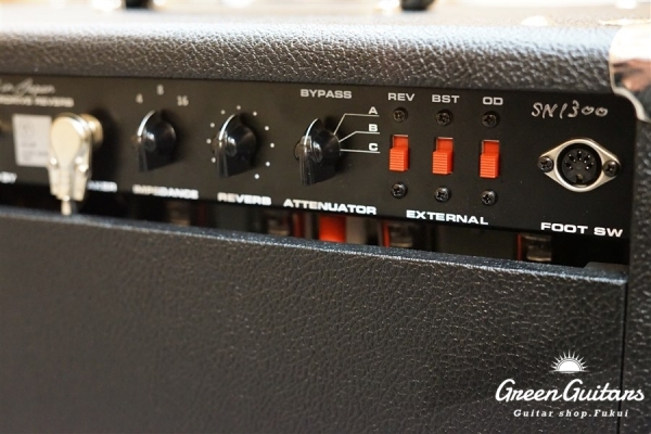  Overdrive Reverb 22W Combo