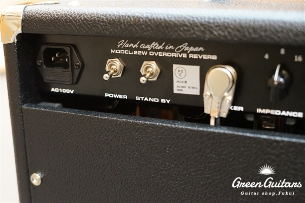  Overdrive Reverb 22W Combo