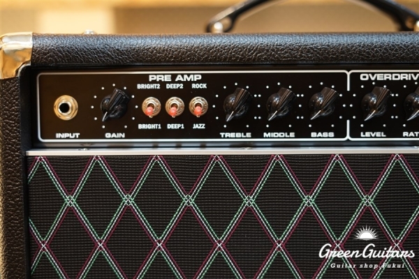 Overdrive Reverb 22W Head