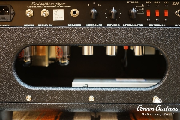Overdrive Reverb 22W Head