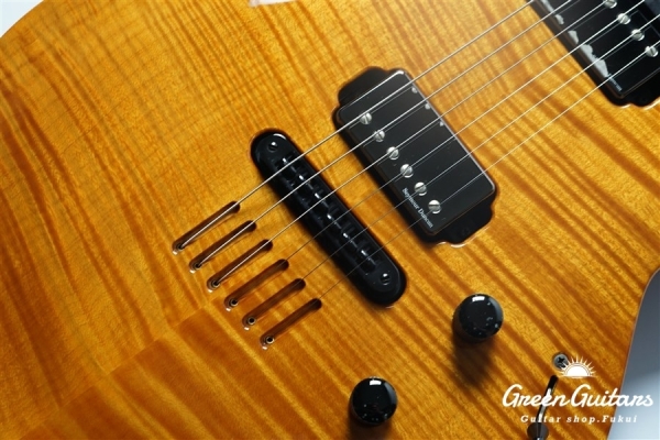 LGX-SA - Trans Amber