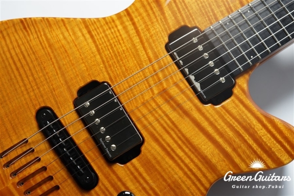 LGX-SA - Trans Amber