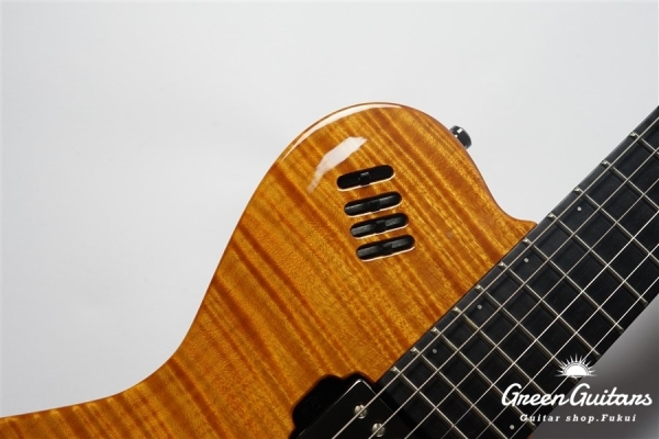 LGX-SA - Trans Amber