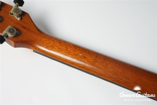 LGX-SA - Trans Amber