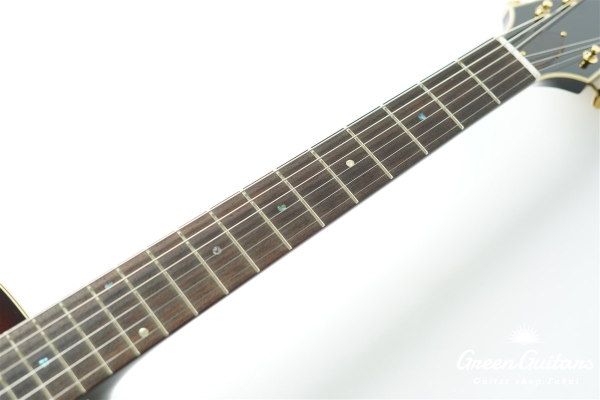 Ladybug SM-C  (P-90) - TSB #RZ0793