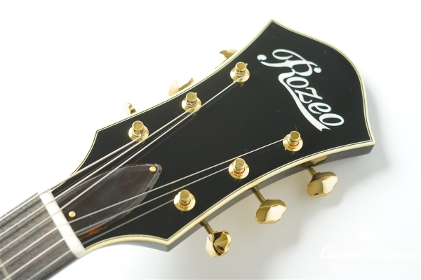 Ladybug SM-C  (P-90) - TSB #RZ0793