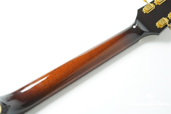 Ladybug SM-C  (P-90) - TSB #RZ0793