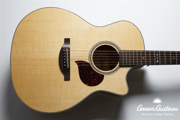 F120-GA Sitka Spruce / African Mahogany