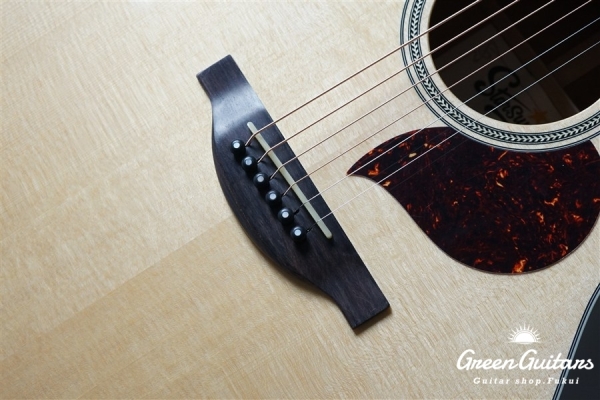 F120-GA Sitka Spruce / African Mahogany