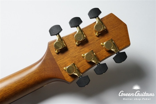 F120-GA Sitka Spruce / African Mahogany